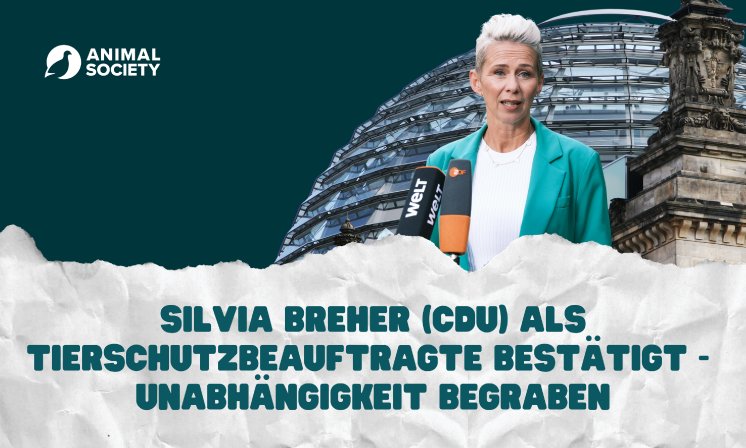 Pressemitteilungen (4).png