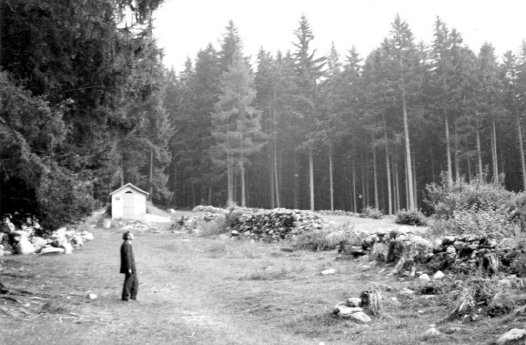 Bildschirmfoto_19-6-2025_12721_.jpeg