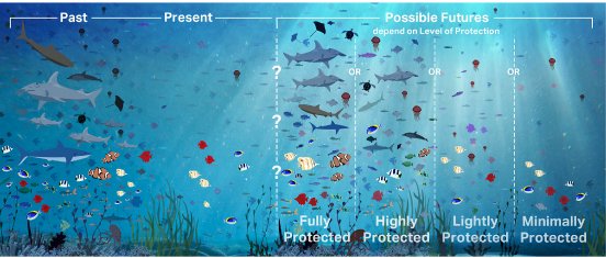 MPA Guide Levels of Protection.jpg