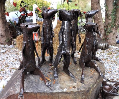 Tierwelt Birkenried.JPG