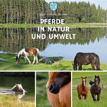 Foto-WB Pferde in Natur und Umwelt.png