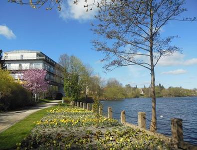 Wunderschön: Zarte Blüten umgeben im Frühjahr den Uferweg am avendi Hotel am Griebnitzsee in Potsdam-Babelsberg.