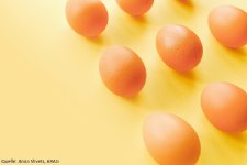 ARAG Verbrauchertipps: Rechtliches zum Osterfest