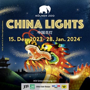 China Lights-Visual.jpg