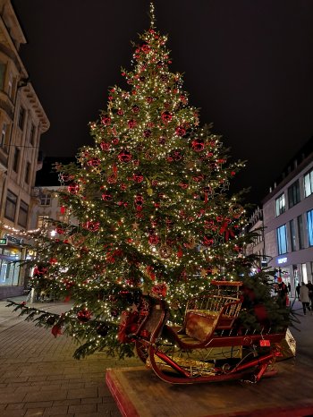 Weihnachtsbaum-Markstätte_MTK.jpg