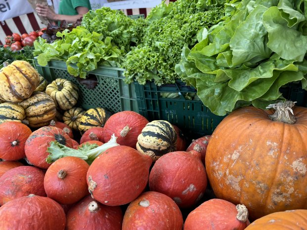 Konstanz-VOS-Bio-und-Regionalmarkt-Gemuese-Kuerbis-01_Copyright_MTK-Theresa-Arndt.jpg