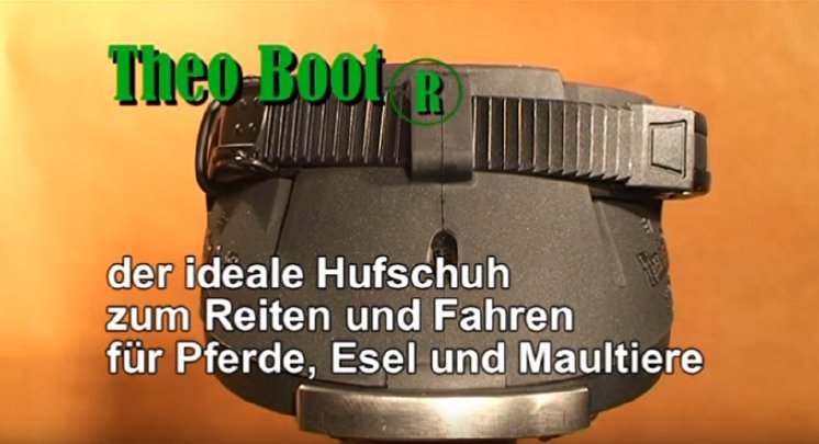 Hufschuhdoktor - Der Theo Boot..PNG