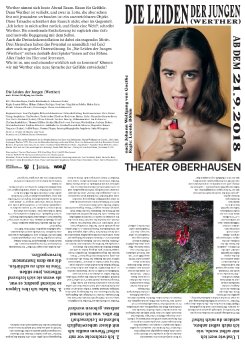 TO_Programmfaltblatt_A3_Werther_RZ-compressed.pdf