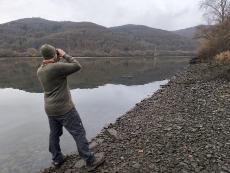 NLP_AffoldernerSee_Vogelgrippe_Toelle.jpg