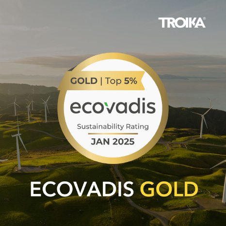 Ecovadis-Gold-2025-TROIKA.jpg