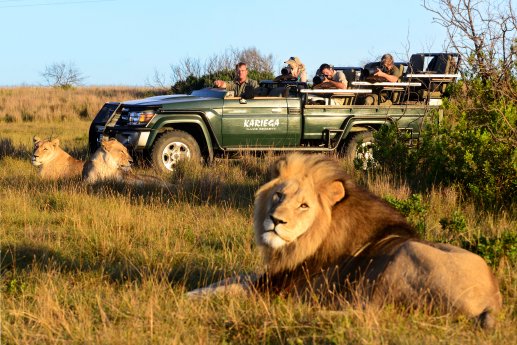KariegaMainLodge_Suedafrika_GameDrive.jpg