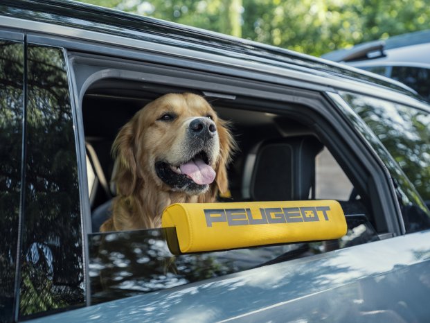 PEUGEOT E-5008 Dog Edition Concept 1.jpg