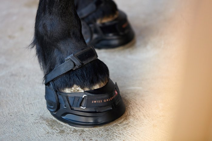 Swiss Galoppers - Das Fesselband sichert den Schuh zusätzlich, zum Beispiel beim Traben ode.jpg
