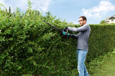 Neben dem Rasen müssen im Frühjahr auch die meisten Sträucher gestutzt werden. Das ist eine der herausforderndsten Aufgaben im Garten. Schwere Heckenscheren und das „Über-Kopf-Arbeiten“ zwängen den Körper in eine unnatürliche, anspruchsvolle Position, was schnell zu ernsthaften Beschwerden führen kann./ Bild: Bosch/ AGR