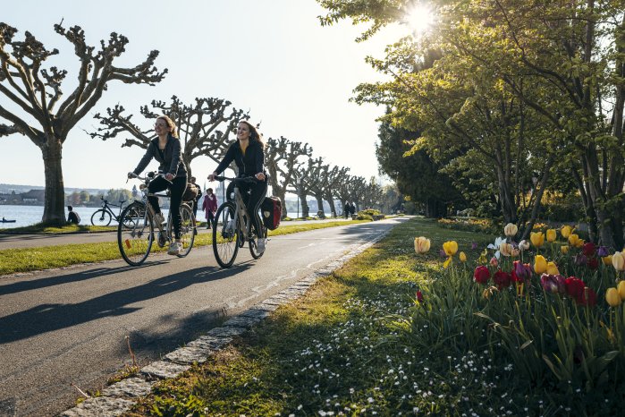 Konstanz-Seestrasse-Radfahren-Bluete-Sonne-04_Copyright_MTK-Leo-Leister.jpg