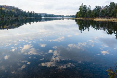 Algonquin Destination Canada Kevin Arnold High Res