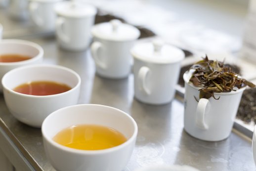 Aufbau-Tea-Tasting_MIRENE SCHMITZ.jpg
