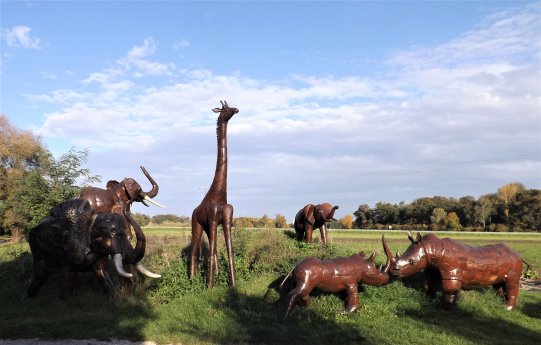 Wildtiere in Birkenried.JPG