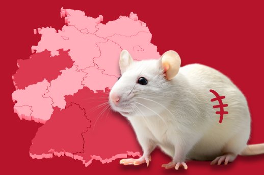 03_Bundesla%CC%88nder_Tierversuche_NL.jpg