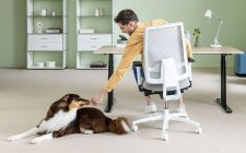 Aktiv-Bürostühle fördern bewegtes Sitzen, Konzentration und Kreativität – ideal für rückenfreundliches Arbeiten