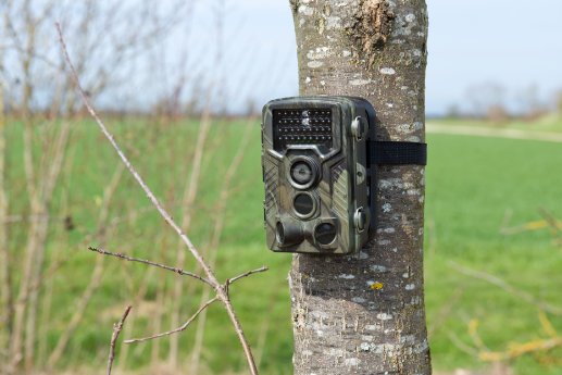 ZX-7027_6_VisorTech_Full-HD-Wildkamera_WK-610.jpg