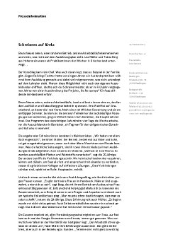 pm_auslandspraktikum_reihling.pdf