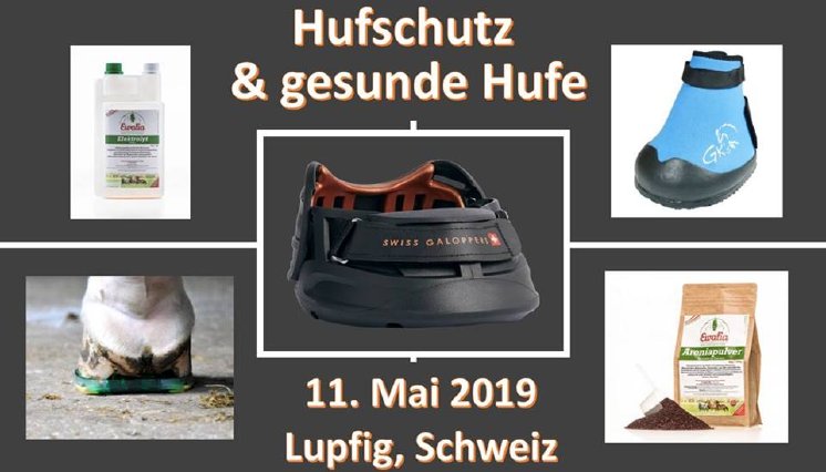 Swiss Galopper am 11.Mai 2019 in Lupfig..jpg