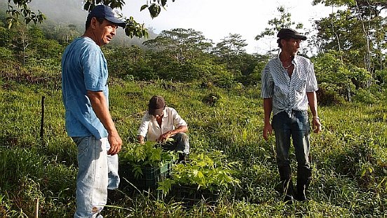 Visionswald Setzlinge pflanzen_klein.jpg