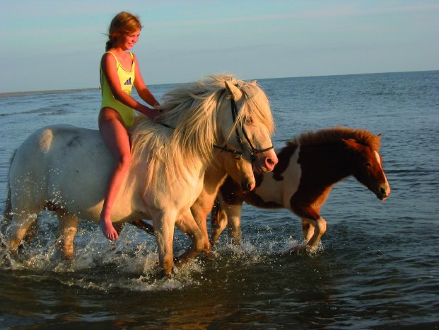 Kommandör_Kind_Stute_Fohlen_schwimmend.jpg