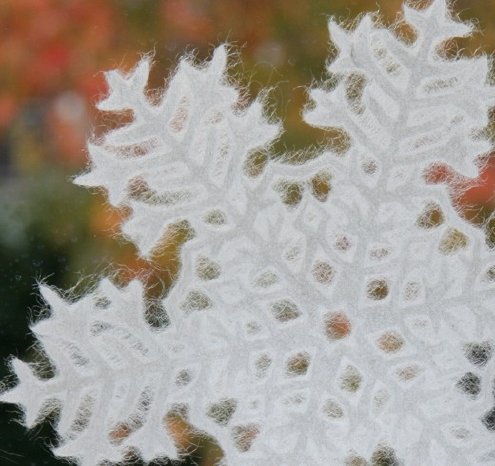Snowflake_Sibirien.JPG