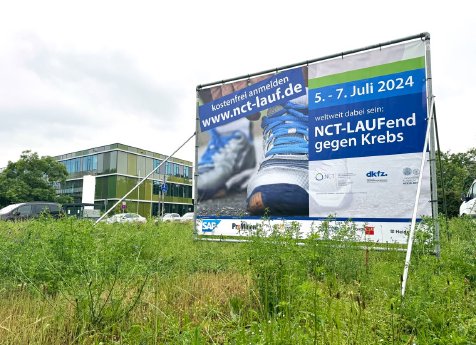 NCT-Lauf_2024.jpg