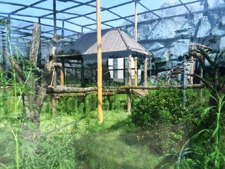 Pavianaussenanlage im Tangshan Zoo_Foto_Tanghan Zoo.JPG