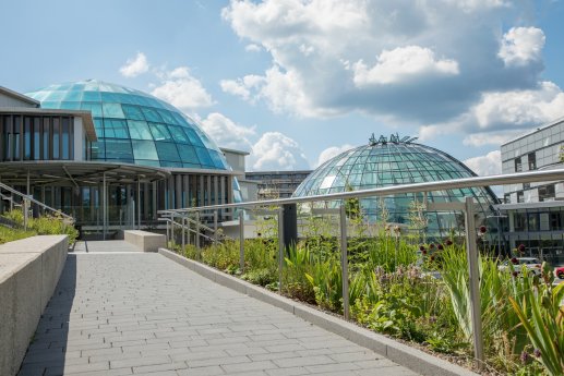 BaederlBayerRhoen_BadNeustadt_StadtmarketingBadNeustadtSteffenSchneiderBilderschmiede_Presse.jpg