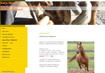 Website Promotion Katja Doering