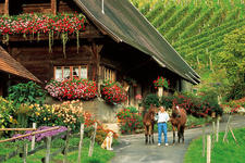 Idyllischer Schwarzwaldhof, (Foto: TI Gengenbach)