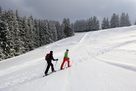 isny-winter-schneeschuhwanderung-auf-der-adelegg-foto-thomas-gretler.jpg