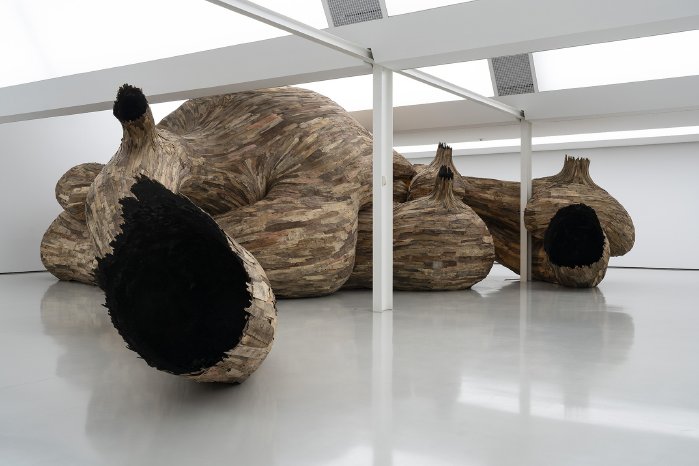 Henrique_Oliveira_Ausstellungsansicht4.jpg