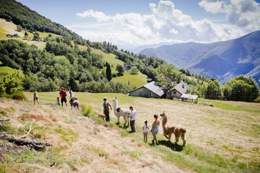 Lamatrekking Monte Comino-Copyright Ascona-Locarno Tourism – foto Wim Kempenaers.jpg