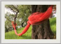 Vernissage, Fotografien von Helmut Schlaiß