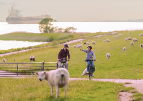 Radfahren an der Elbe(c)Holstein Tourismus_Frank Siemers.jpg