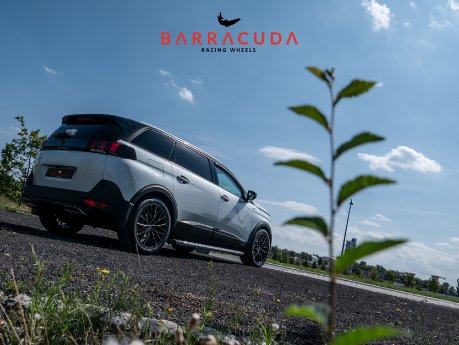 Bild 6 mit  Logo.jpg