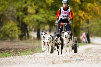 Presseinfo zum 1. Harzer-Luchstrail