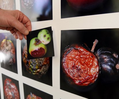 web ArsCubis Apfel vorher nachher ©Claudia List.jpg