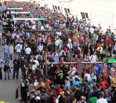 Pitwalk 2012