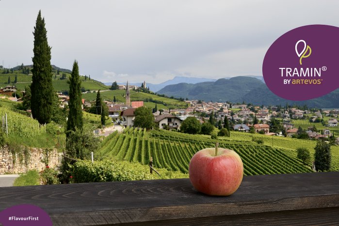 Artevos_Apfel_‘Tramin‘-s-_Landschaft.png