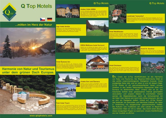 top-hotels1.jpg