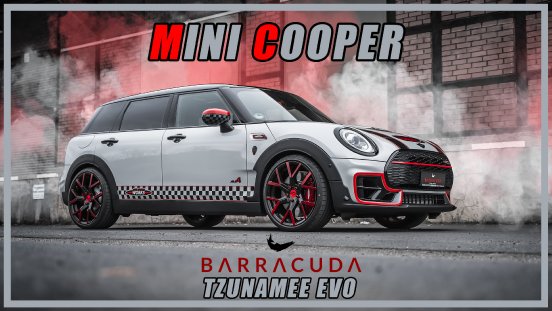 Mini Thumbnail barracuda 1.jpg