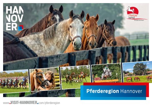 Pferderegion Hannover Großflächenplakatmotiv.pdf