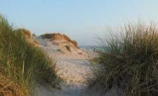 Auf dem Darß in Mecklenburg-Vorpommern bietet Wikinger Reisen 2019 erstmals eine 