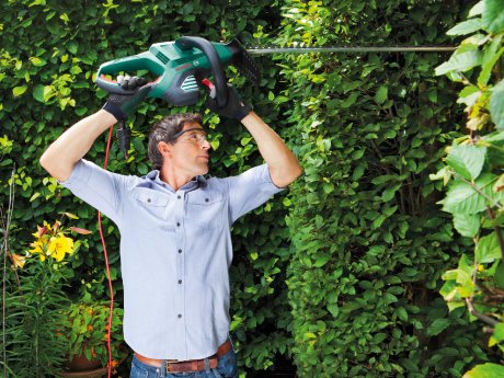 Bosch Heckenschere2.jpg